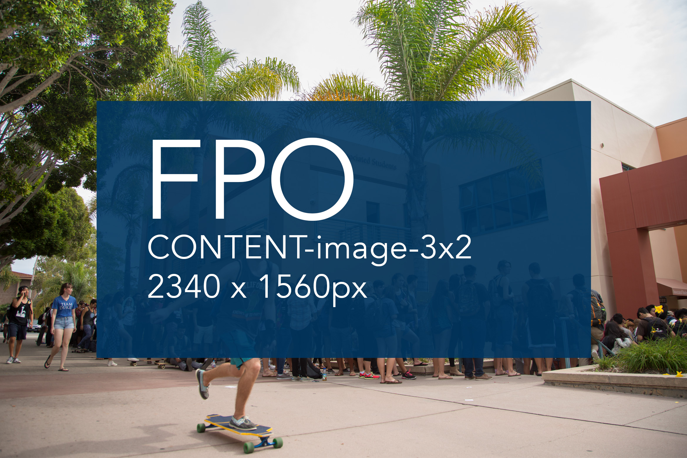 meaningful alt text here